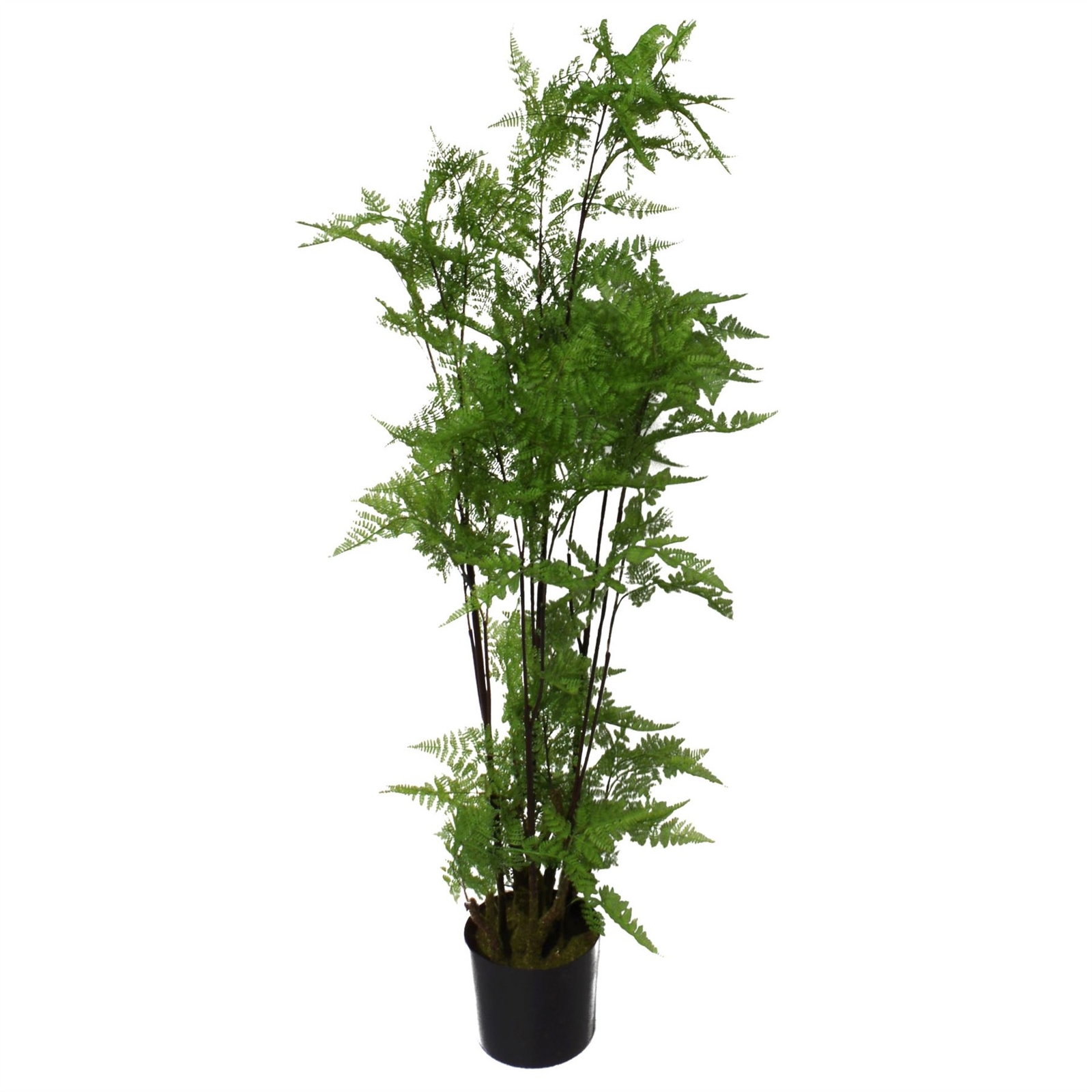 Artificial Fern Tree Plant Natural Moss 150cm 5ft Leaf Trees Realistic Plant