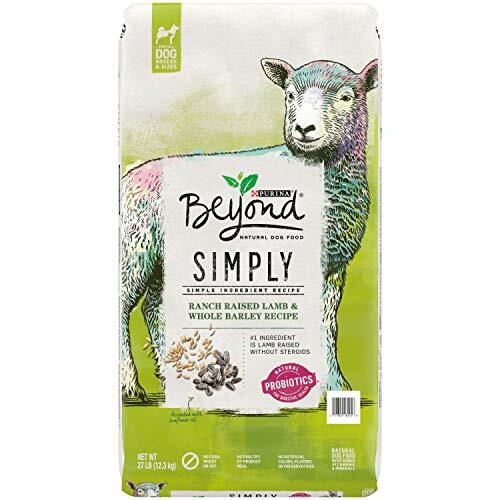 purina beyond small dog