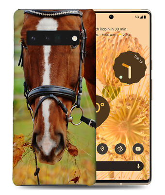 CASE COVER FOR GOOGLE PIXEL|BEAUTIFUL BROWN HORSE ANIMAL #5