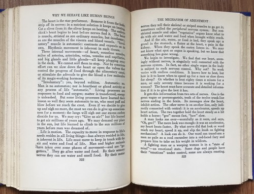 Why We Behave Like Human Beings GEORGE DORSEY 1920s Anthropology Book - Picture 8 of 10