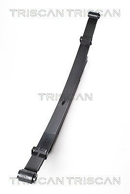 2X Triscan Federnpaket Hinterachse U.A. FüR Ford, Mazda-image