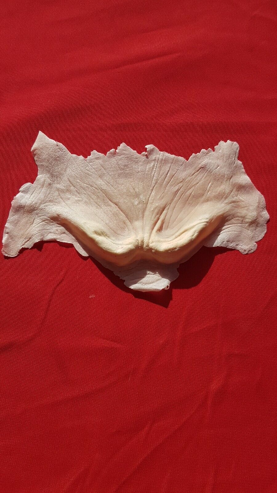 Picture 4 of 4