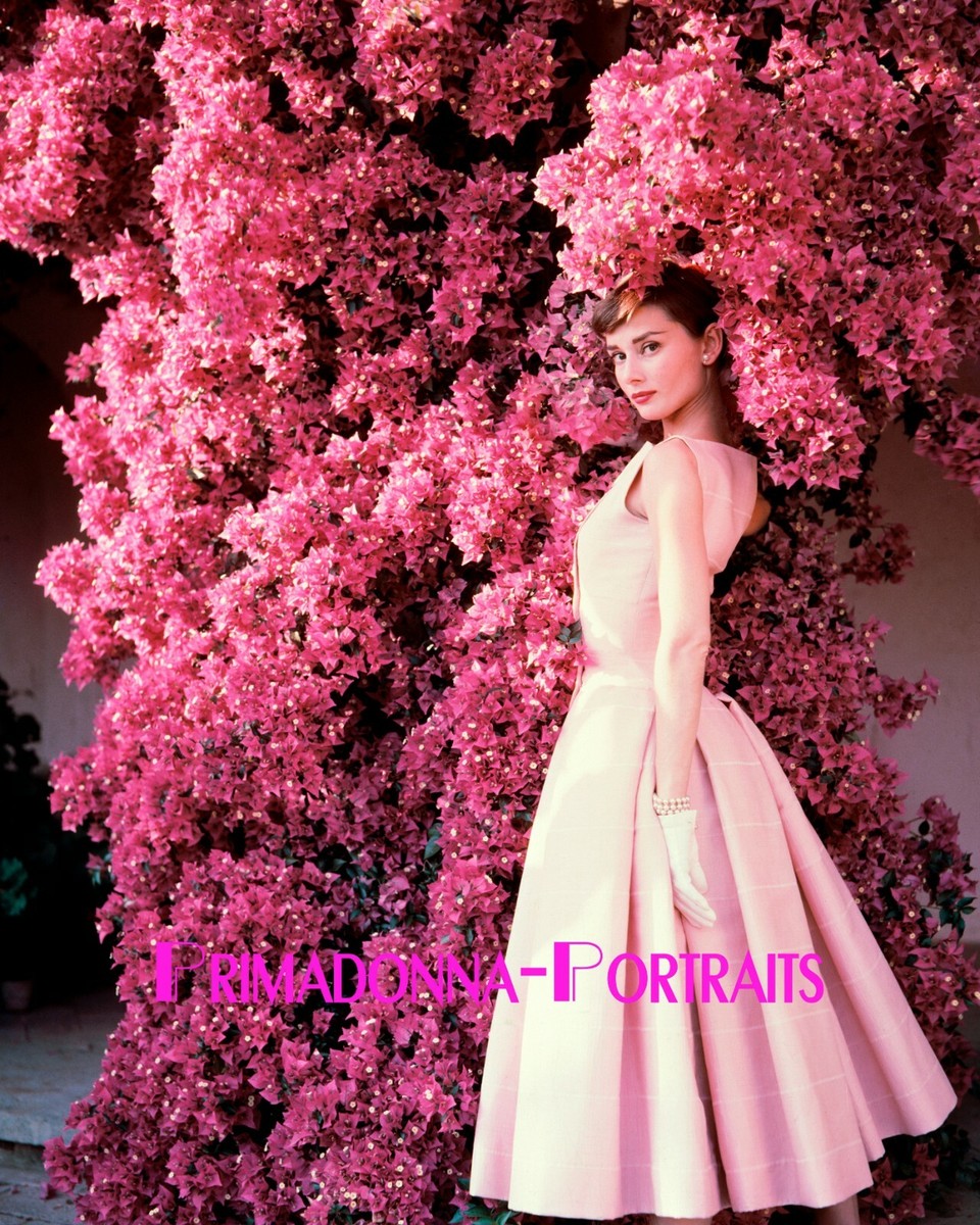 AUDREY HEPBURN 8X10 Lab Photo COLOR BEAUTIFUL Pink Flowers Classic Gown | eBay AUDREY HEPBURN 8X10 Lab Photo COLOR BEAUTIFUL Pink Flowers Classic Gown | eBay