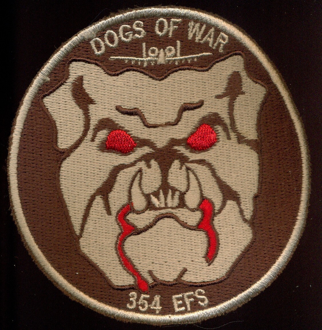USAF 354thFIGHTER SQUADRON A-10 パッチ s-l400.jpg