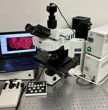 Olympus BX51 Fluorescence Prior Proscan 2 automated Scanning Microscope 5MP Cam