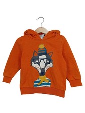 Palomino Kinder Kapuzenpullover Gr. 104 Orange mit Waschbär-Aufdruck