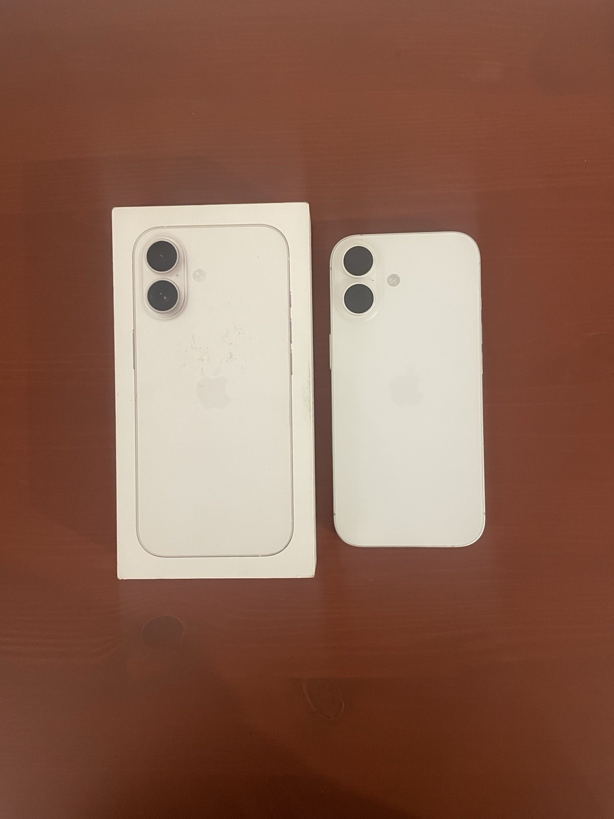 iPhone 17 - 256 GB - PERFETTE CONDIZIONI / PERFECT CONDITIONS