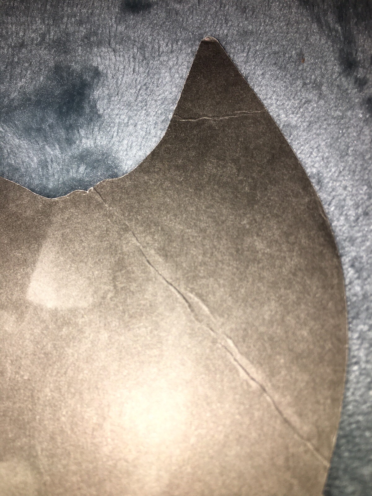 Picture 5 of 6