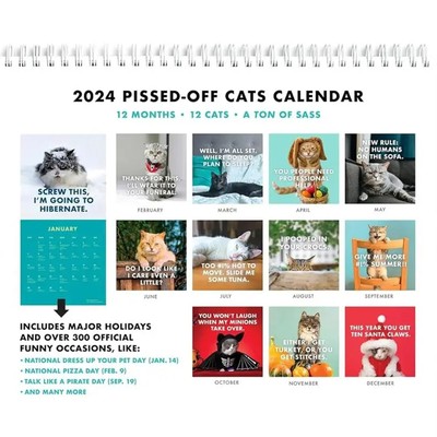 Calendrier 2024, cadeaux de vacances drôles et impertinents pour les  amoureux des chats, blague cadeau de Noël