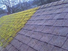 Moss Killer (roof / patio / hardsurface) fast acting formula.