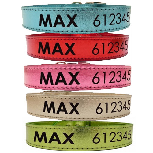 Collar para perro con nombre y teléfonos deCuero Metalizado , mascotas, animales