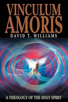 David T Williams | Vinculum Amoris | Taschenbuch | Englisch (2004) | Iuniverse