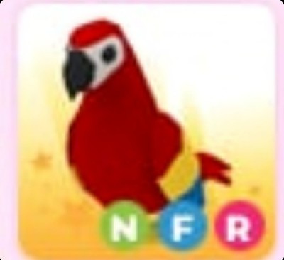 NFR Parrot - Neon Fly Ride *SAME DAY DELIVERY* - Adopt