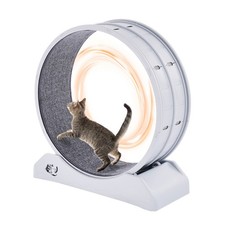 Uimoso Cat Exercise Wheel 31.5 in Large Indoor Cat Running Wheel Treadmill White