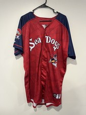 #2 Game Issued Portland Sea Dogs Marvel Defenders Of The Diamond Jersey