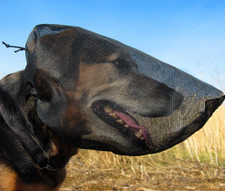 NEW OutFox Field Guard Size M Dog Safety Mask for Foxtails Dogs Hunting Hunter