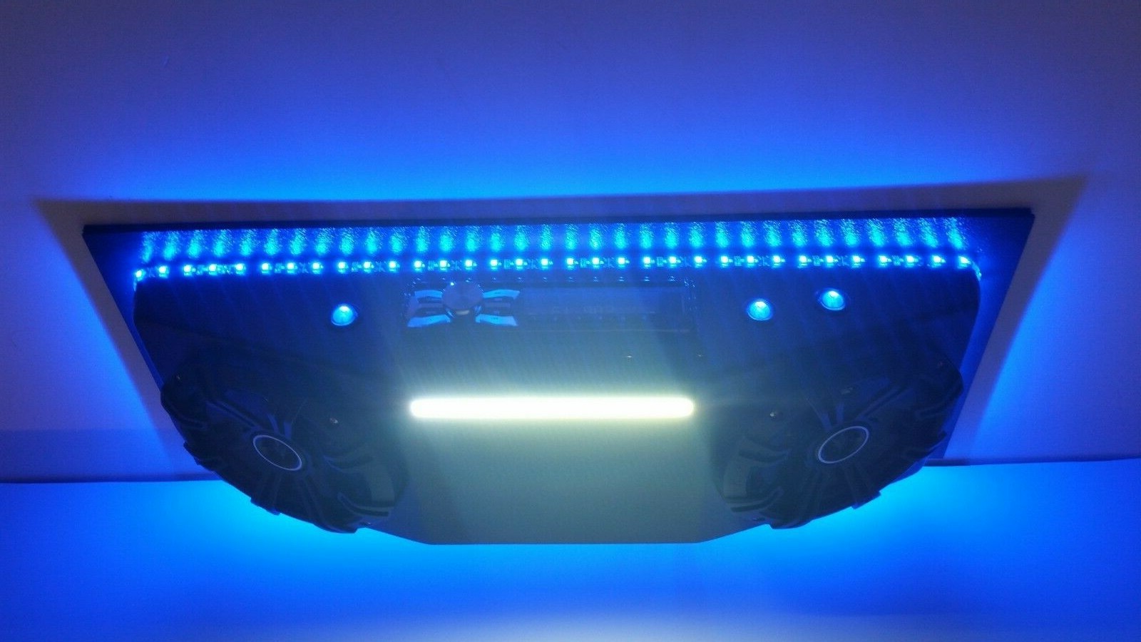 Picture 6 of 12