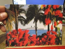 S1 Oversize Big Jumbo Size Postcard HAWAII SS Independence Honolulu Cruise Ship