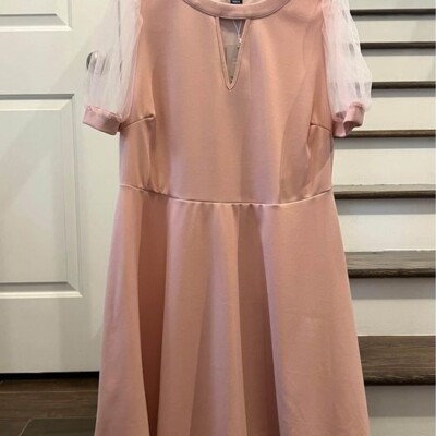 New 2X Pale Pink A-Line Dress with Mesh Sleeve | eBay