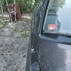 Bild 7 von 8