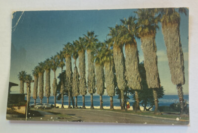 Vintage Postcard c1950s ~ Retro View of La Jolla Coast at Girard Ave~ California