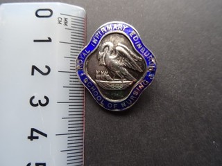 Royal Edinburgh Infirmary School of Nursing nurse/hospital badge