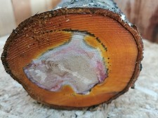 Pflaume Drechselholz 25×11 cm | Regionales Obstholz | Ideal zum Nassdrechseln