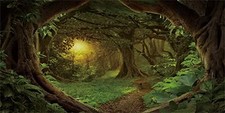 24x16 in Forest Terrarium Backdrop Green Tree Reptile Habitat Background