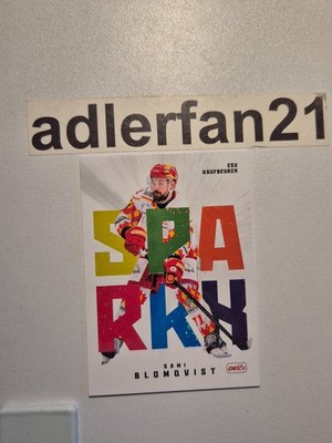 DEL2 25-26 2025-2026 ESV Kaufbeuren Aussuchen Teamset Sonderkarten Parallel