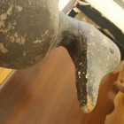 Bild 11 von 12