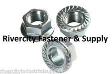 (400) 5/16-18 Coarse Thread Serrated Flange Lock Nut 5/16x18 Whiz Lock Nuts