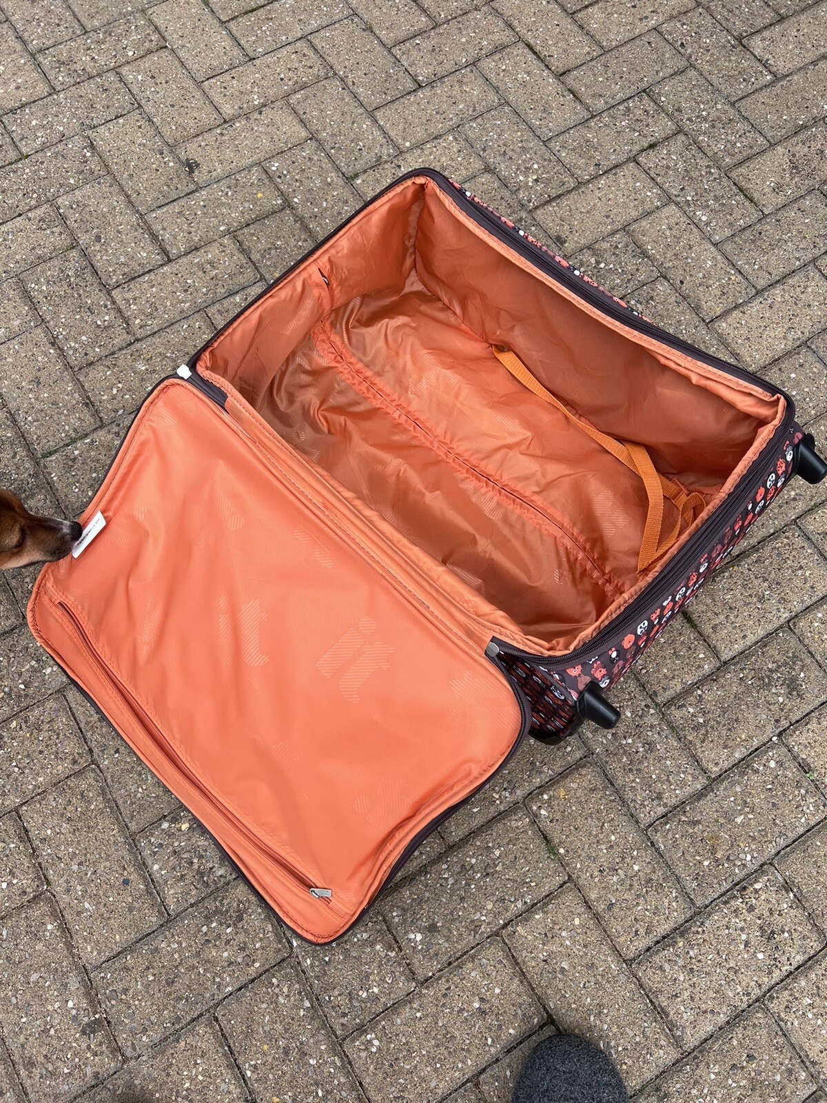 IT luggage Medium Kids Suitcase eBay