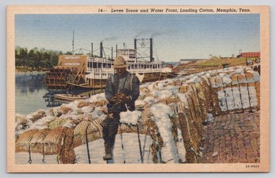 Memphis TN Levee Scene Loading Cotton Steamboat Curt Teich Linen Postcard