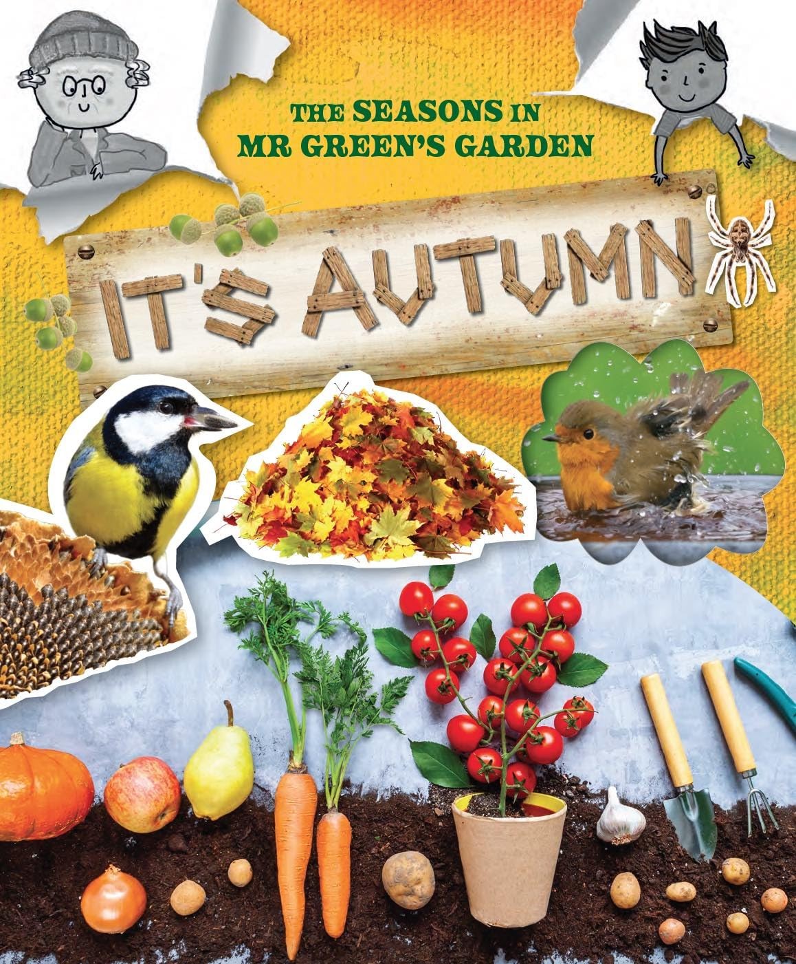 It's Autumn Ruth Owen - Image 5