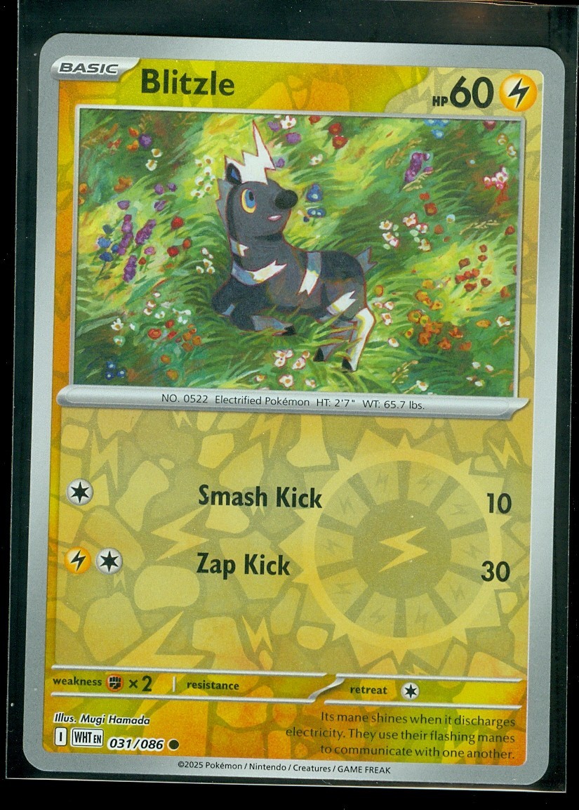 Pokemon BLITZLE 031/086 - White Flare - Rev Holo - MINT