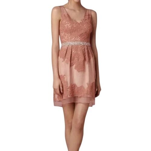 Yoana Baraschi Lace Overlay Celestina Dress Women 10 Blush Pink Feminine Elegant - Picture 7 of 7