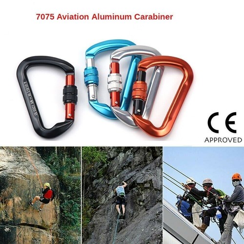 1 Stück Schwerlast Schraubverschluss Karabiner D-Ring Clip Haken zum Klettern Höhlenforschung - Bild 2 von 12
