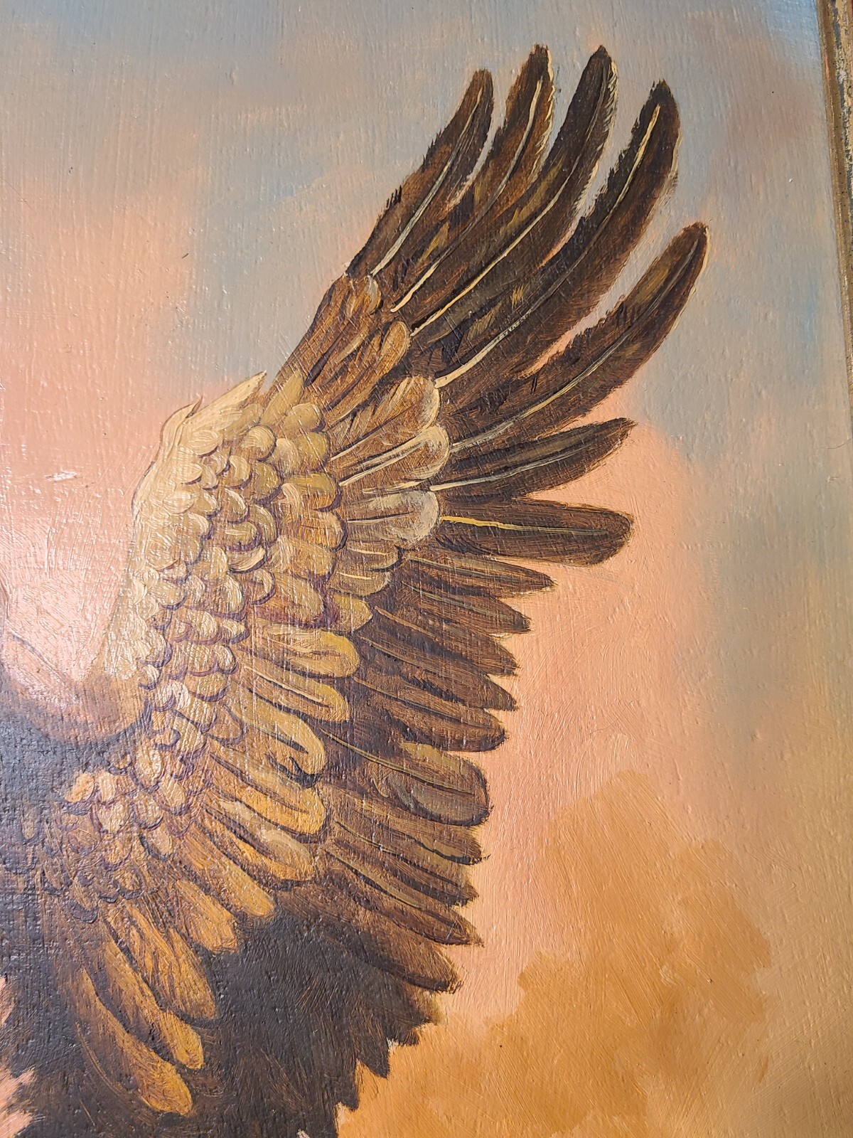 Picture 8 of 16