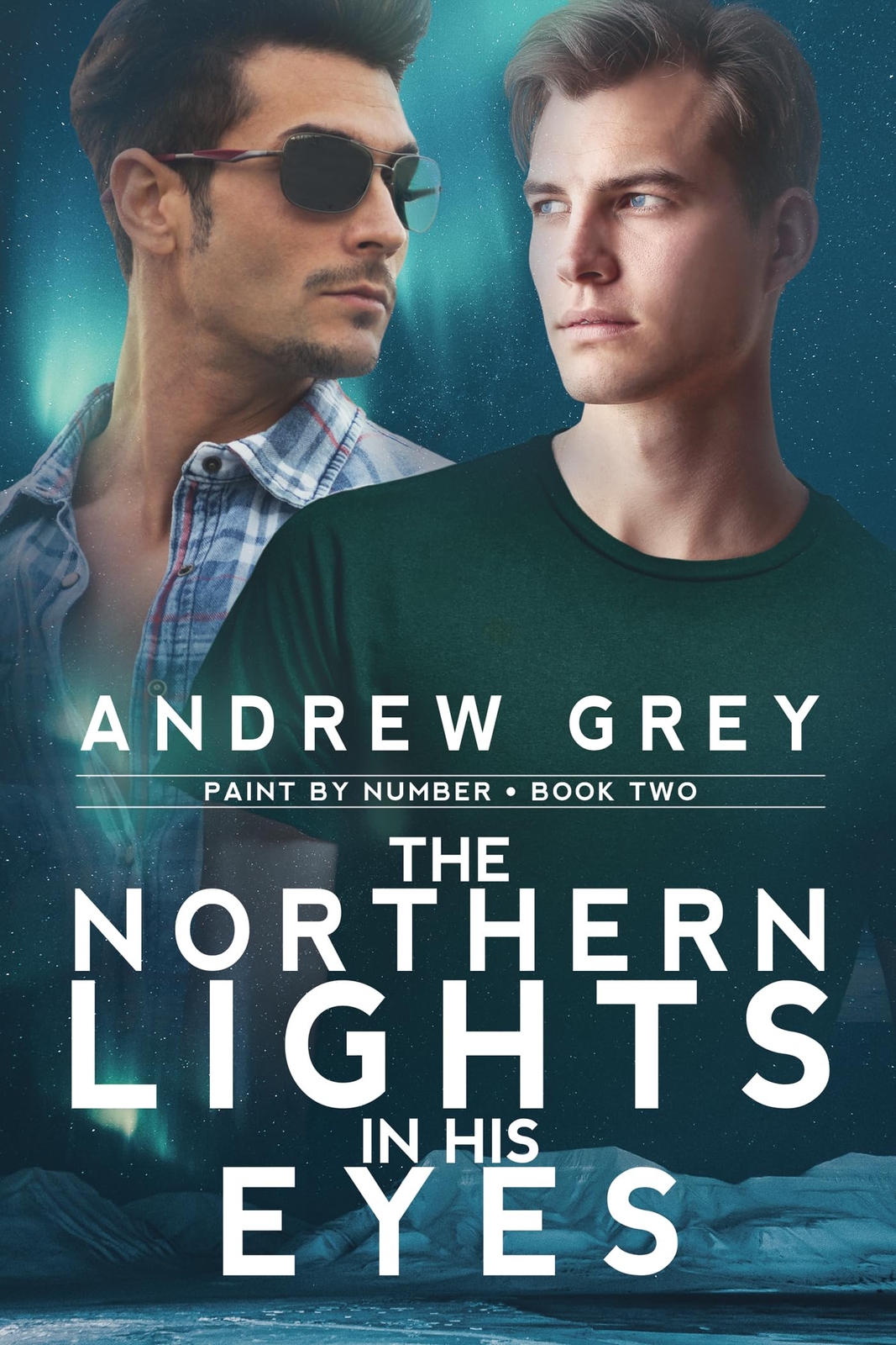 Andrew Grey The Northern Lights in His Eyes (Tascabile) Paint By Number
