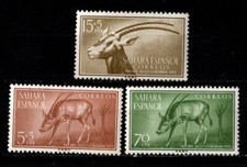 Stamps Spanish Sahara Sc #77 B35-6 MNH 1955 Scimitar-horned Oryx Animal
