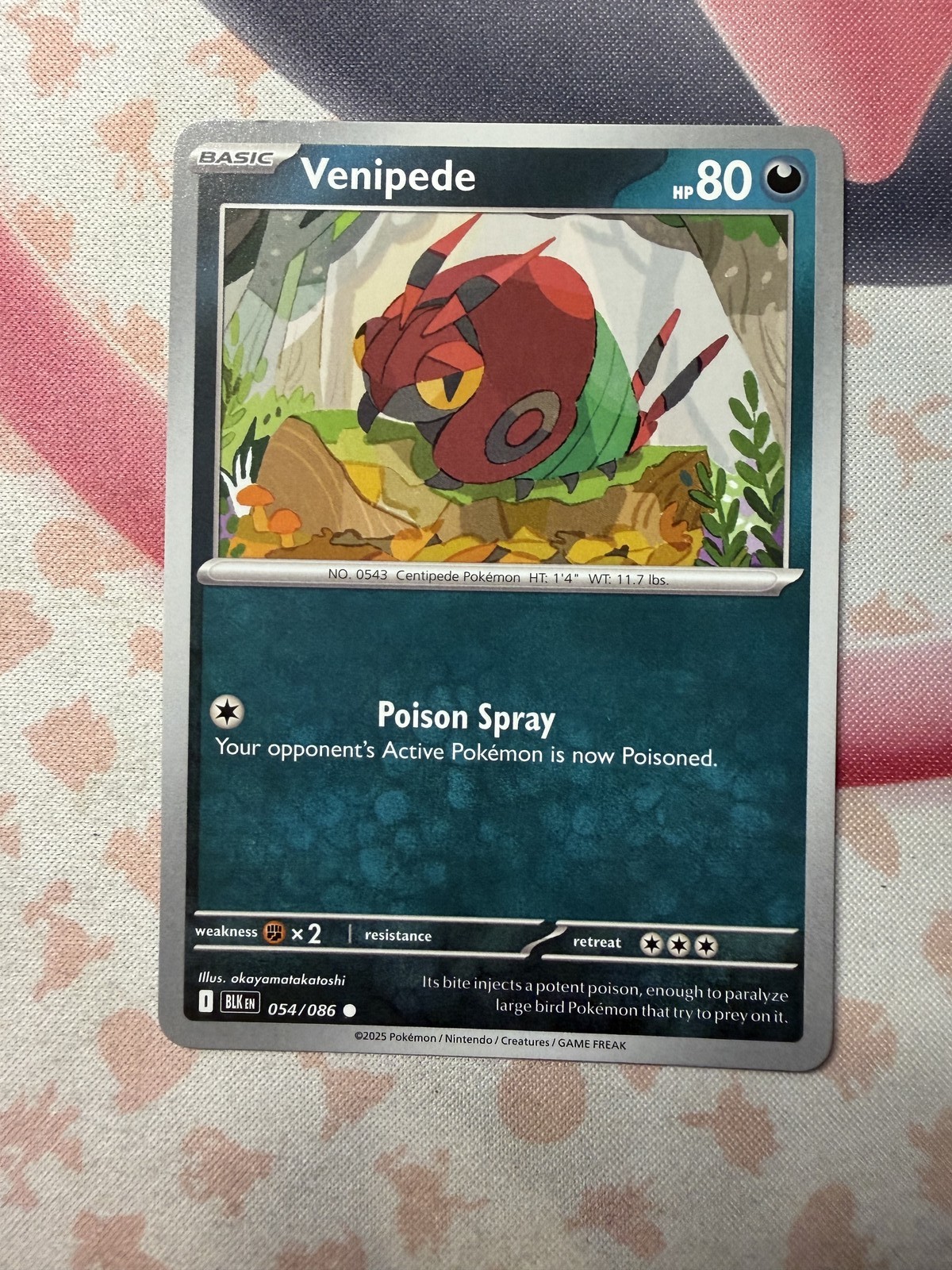 Venipede Common SV: Black Bolt 054/086 NM English Pokemon Card