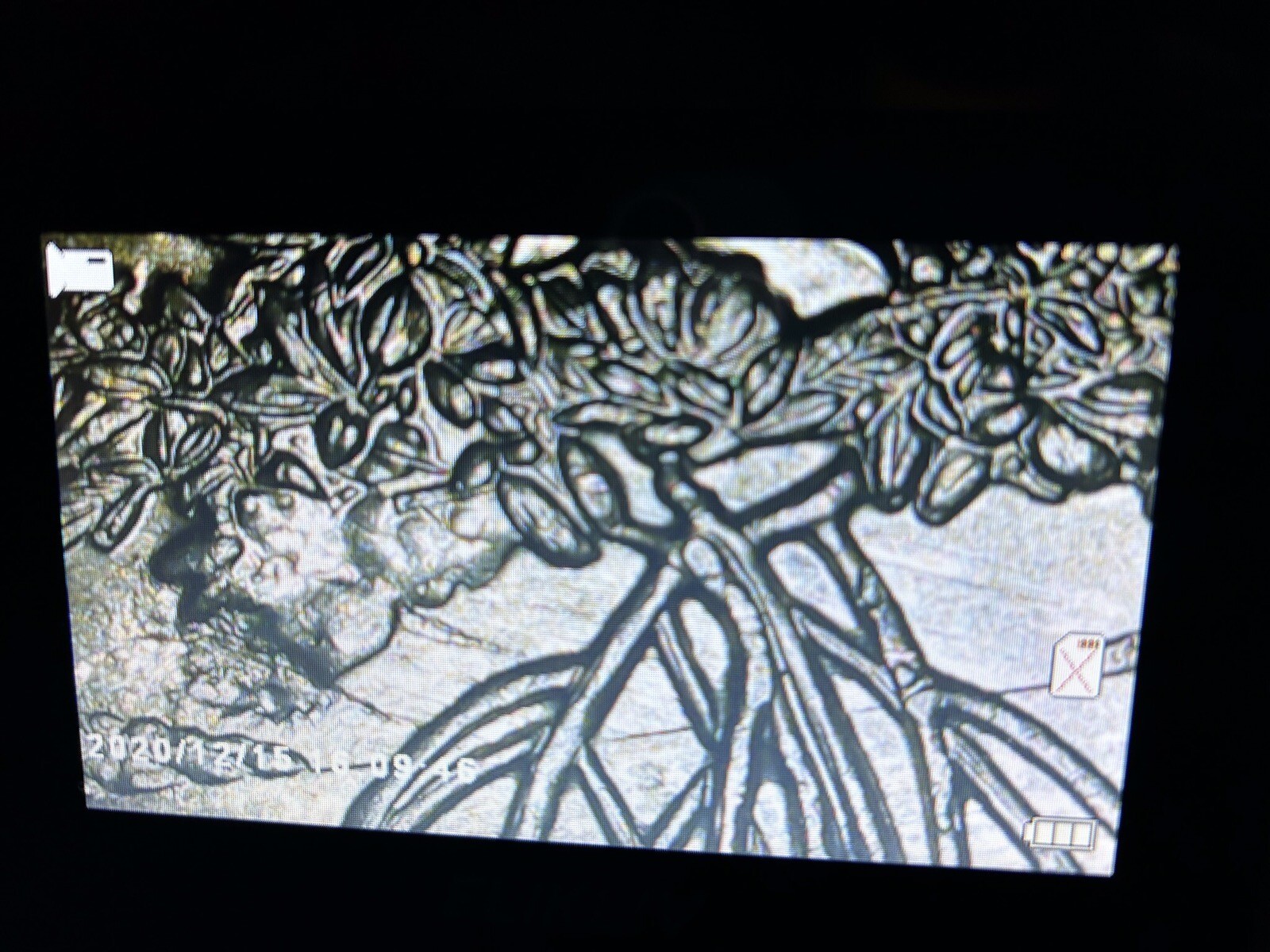 2020 P Virgin Islands Quarter Strike Through Error Salt River Bay