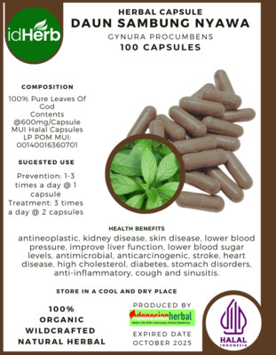 [idHerb] Herbal CAPSULES Gynura Procumbens Daun Sambung Nyawa Natural Organic