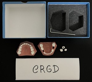Viade Products Typodont #1404 Dental Pediatric Teeth Teaching Model Trainer