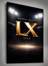 2012 NFL Experience Details and Highlights 16