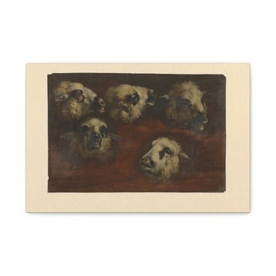 Jacob van der Does (I) - Vijf studies van schapenkoppen - 1624 - Canvas Wall Art