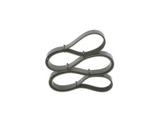 BOSCH Keilrippenriemen 1 987 946 031 für BMW FIAT ALFA ROMEO OPEL RENAULT