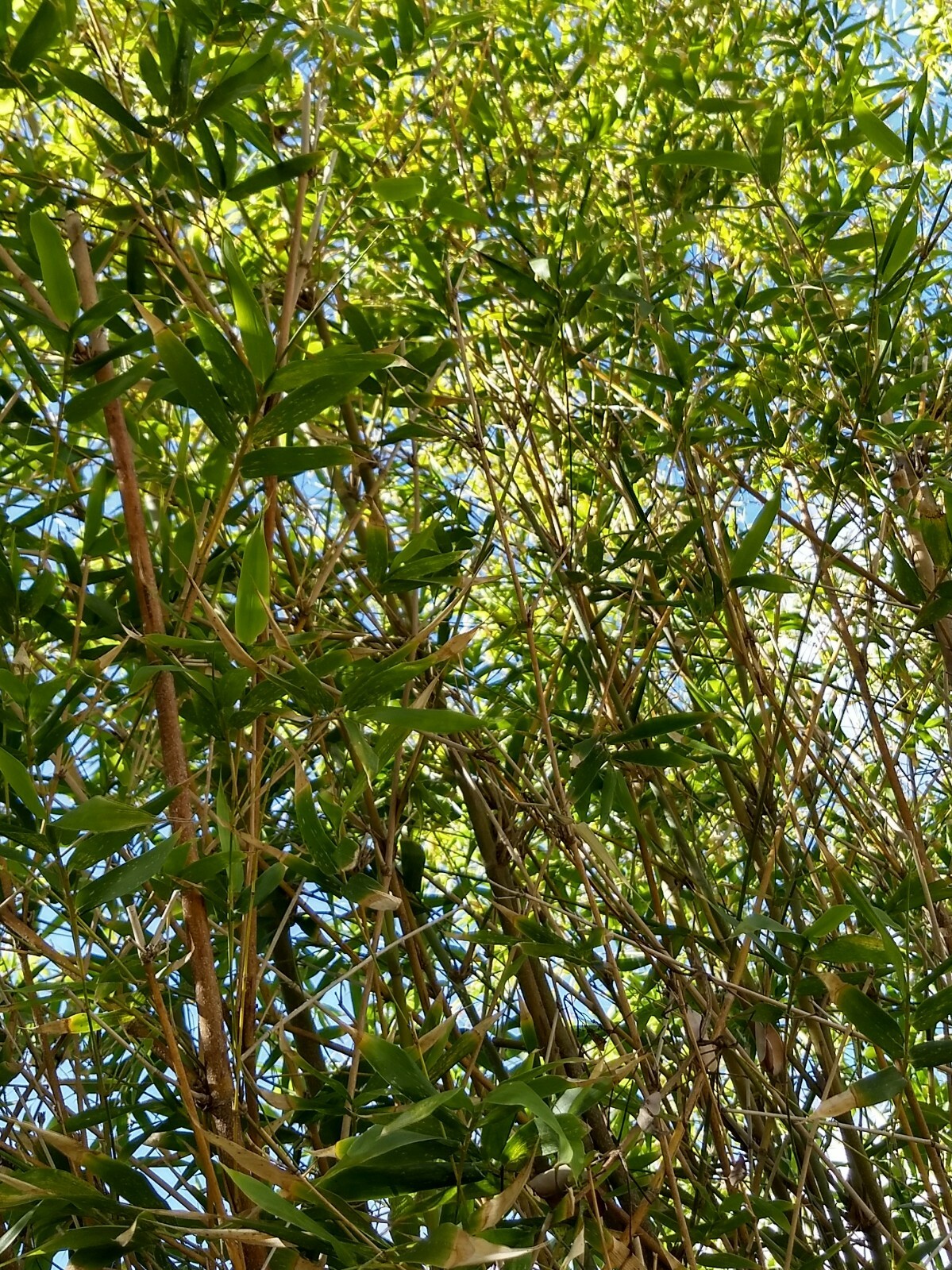Picture 7 of 10