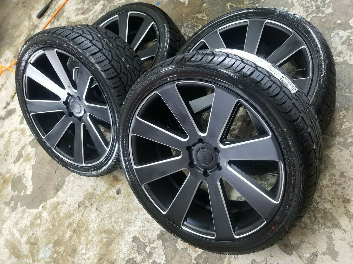 BLACK Bull　8枚 CTR JACKPOT 8660 • Cattle Visions • Premier Multi-Breed