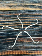 5 Real Jumbo Raccoon Baculum Penis gag Gift toothpick Mounts dick joke art Craft